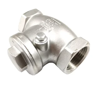 BSPP BSPT NPT Manual Screw Swing Check Valve Stainless Steel 304 316 CF8 CF8M for Base Media