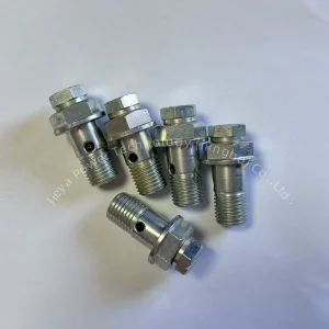 Brass Check Valve 3912886 3963593 for Diesel Engine Machinery Essential Parts