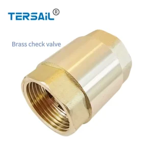 Brass Check Valve Spring Vertical Check Valve Water Pipe Threaded Valve 4-minute and 6-minute