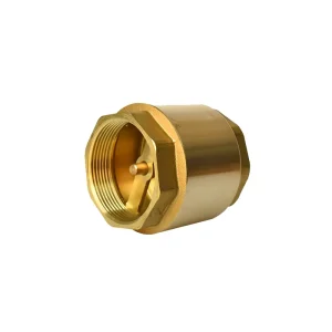 Brass Check Valve Vertical Check Valve Threaded One way Valve Anti return Water Device Small sized Pipeline Pump specific