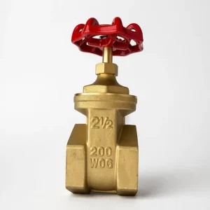 Brass Gate Valve PN25 NPT BSP HPb57-3 Valve Copper Valve