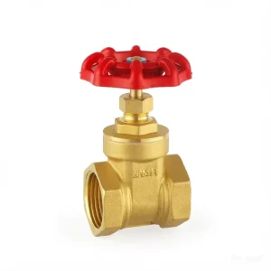 Brass Gate Valve Pn16 Forged Brass Stop Valve With Red Handle For Commercial Water Heating And Hvac Systems