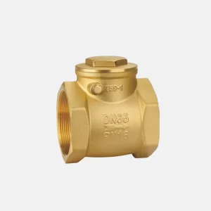 Brass Horizontal Check Valve DN15-DN50 for Water Thickened Anti-backflow Device Durable EPDM Sealing