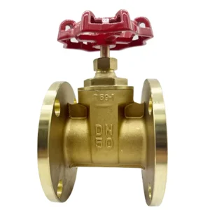 Brass Manual Flanged Gate Valve DN50 (2 Inch) T59-1 Heavy-Duty Industrial Fluid Control Valve