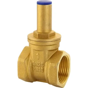 Brass Manual Lockable Gate Valve Triangle Key Anti theft Female Thread Valve 1/2″ 3/4″ 1″ for Water Meter Tap Pipeline Shut