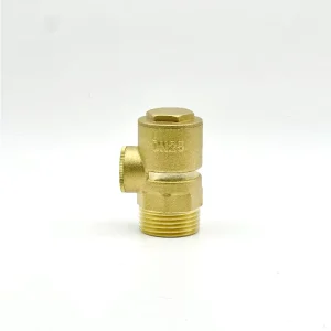 Brass Negative Pressure Vacuum Relief Valve Thread Air Intake Vacuum Breaker with DN25 Port Size for Tap Water Pipeline System