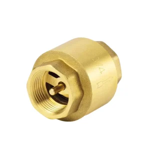 Brass Spring Check Valve Female Non Return Valves Forged Industrial Check Valve for Water Systems
