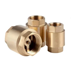 Brass Spring Check Valve Vertical Brass Non Return Valve
