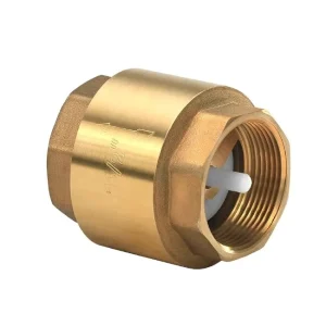Brass Spring Check Valve with ABS Core 1/2″-4″