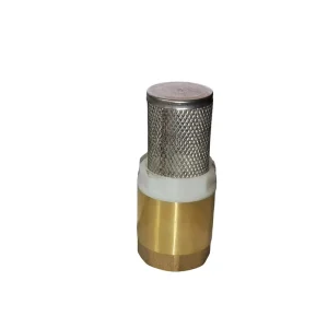 Brass Spring Check Valves with SS Filter Mesh Foot Valve for Water Pump