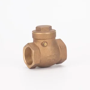 Brass Stand able Check Valve for Water 1/2in Port Size Rubber Sealing Industrial Use Made in China