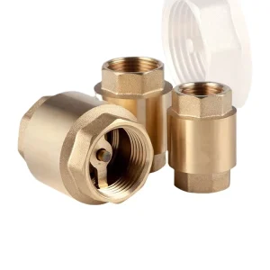 Brass Vertical Check Valve Anti Backflow Spring Lift Check Valve