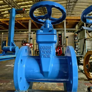 British Standard Z45X Cast Iron Manual Water Blue Low Pressure Gate Valve Soft Seal DN40-DN1200 Medium/Low Temperature