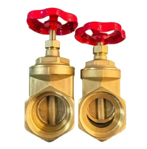 Bronze Gate Valve with Pipe Locking Seat Type Gate Foot Regulating Valve for Water
