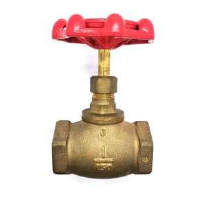 Bronze Globe Valve Brass Marine NPT Thread Double Internal Thread Bsp Ptfe Stop Valves