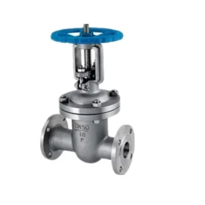 Bs3464 6 Inch 316 304 Stainless Steel Manual Water Gate Valve with Steel Plate Kit