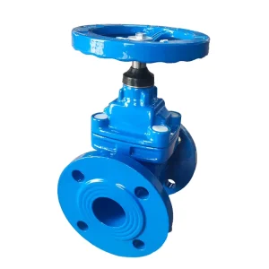 Bs5163 High Temperature Manual Rubber Water Resilient Gate Valve Soft Seal Gate Valve