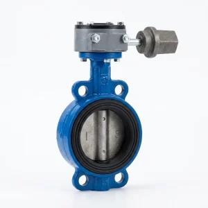 Buried Ductile Iron Flanged Butterfly Valve Worm Gear Underground Cap PN10 PN16 Water OEM Customizable