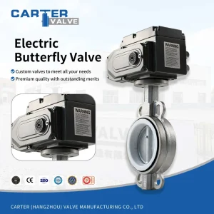 Butterfly Valve Manual Air Operated Cast Iron Cast Steel Stainless Steel Lug Wafer Flanged JIS DIN Liner Customized OEM