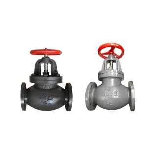 CAST IRON GLOBE CHECK VALVES JIS F7353 5K MARINE VALVES