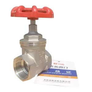 CE Certification Stainless Steel Water Check Valve Manual Copper Thread Silver Normal Pressure Temperature Gate Valve