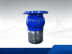 CE Certified Ductile Iron Flanged Hydraulic Foot Valve DN40 DN300 PN16 EPDM Sealing Bottom Check Valve with Strainer
