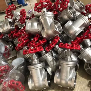 CF8 304 316 Stainless Steel BSP NPT Threaded Gate Valve 1-2 Inch DN15-DN50 PN16 Sluice Valve for Water Treatment