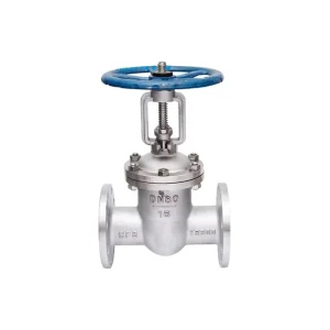 CF8 CF3M PN16 25 DN80 100 150 Flange Gate Valve for Water Oil Steam