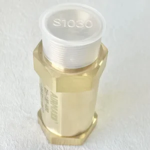 CF8 Material 1/2in Nut Pressure Relief Protective One Way Shut Off Check Valves for LNG Fuel Lines