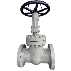 CF8M Stainless Steel Gate Valve Investment Casting RF End for Petrochemical Industry