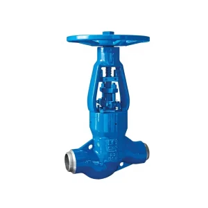 CHLG Normal Temperature High Pressure Self Sealing Forged Check Globe Valve with PTFE Sealing for Water Manual 3 in