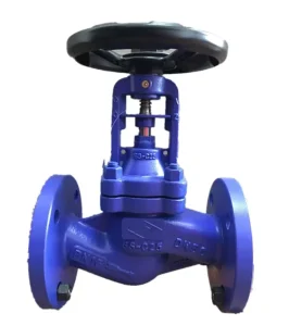 CI/DI/SS304 DIN Standard Flanged Ends Bellow Sealed Globe Valve