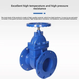 CNJS Z45X 16Q Soft Sealed Flanged Non Rising Stem Gate Valve Elastic Seat Cast Iron for Tap Water DN50 DN300 Mainland China