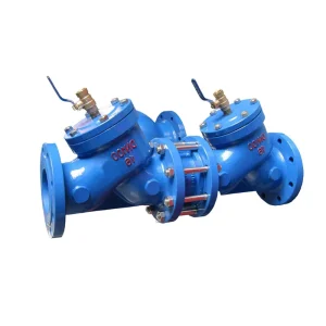 Carbon Steel ANSI SS304 Backflow Preventer Valve