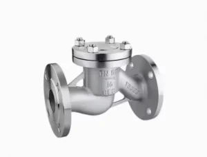 Carbon Steel & Stainless Steel Swing Check Valve for Industrial Piping Systems (DN50-DN1200)