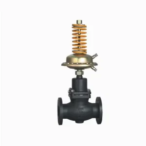 Carp Journey Manual Factory Self operated Differential Pressure Control Valve DN15 DN250 for Secondary Heat Supply Pipe Network
