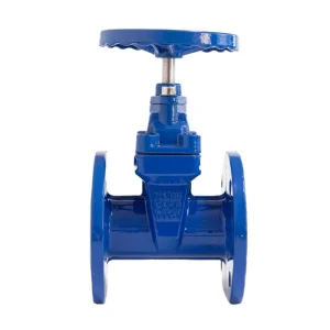Cast Iron DN 65 Flanged Non Rising Stem Soft Seal Gate Valve Prices