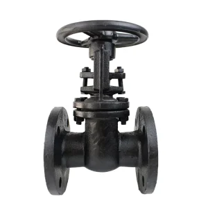 Cast Iron Ductile Iron Gate Valve Rising Stem Z41T-16 Flange Gate Valve 12 Inch