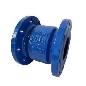 Cast Iron Flange Spring Check Valve with Water Silencing Feature