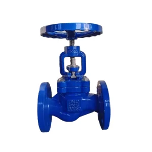 Cast Iron Flanged Globe Valve DIN Standard WCB Cast Steel and Cast Iron Manual Flanged Globe Valve