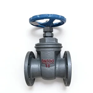 Cast Iron Gate Valve DN100 PN16 Flanged Water Valve Non Rising Stem for Plumbing Fire Fighting System