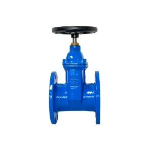 Cast Iron Gate Valve High Quality 100mm 4inch Soft Seal Gate Valve PN16