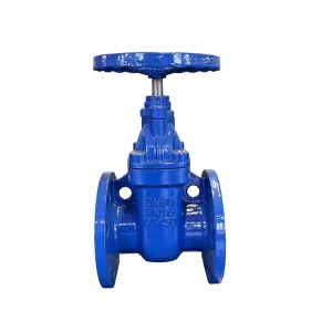 Cast Iron Hard-Seal Gate Valve for Water with 2 Inch Port Size DIN and BS Flanges Manual Operation