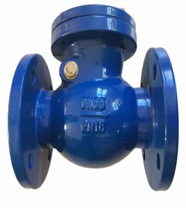 Cast Iron Industrial Flanged Swing Check Valve Non Return Valve