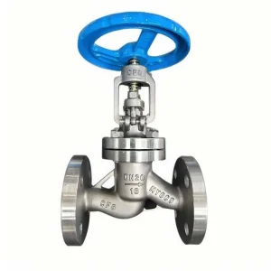 Cast Iron Inner Thread End Globe Valve DN50 DN200 Cast Steel Manual Valve for Water OEM