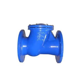 Cast Iron Rubber Flap Check Valve