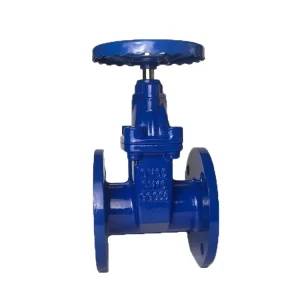 Cast Iron Wedge Gate Valve for Water Media Manually Operated, Resilient-Seated, Flanged Gate Valve
