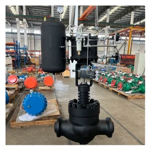 Cast Stainless Steel Pneumatic Actuator Severe Service Application Control Valve