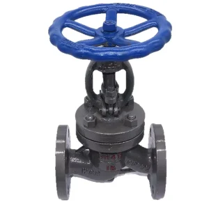 Cast Steel Flanged Globe Valve for High Temperature Steam and Heat Transfer Oil System