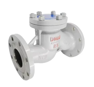 Cast Steel Flanged Lift Check Valve H41H 16C One Way Non Return Anti backflow DN15 Normal Temperature